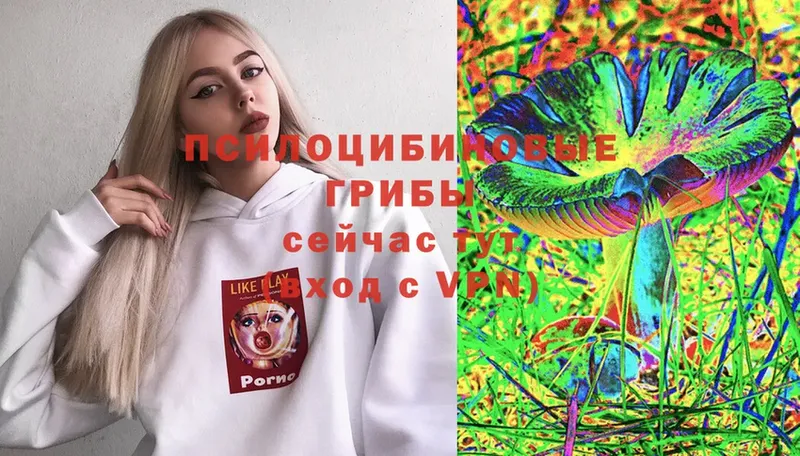 Галлюциногенные грибы Magic Shrooms  Липки 